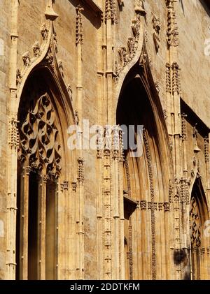 Spagna, Valencia. Edificio della Seta (la Lonja de la Seda o Llotja de la Seda). Stile gotico. Dettaglio architettonico dell'esterno. Foto Stock