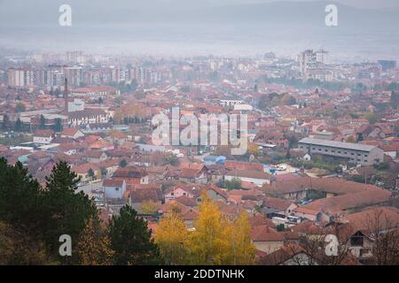 Misty, hazy, Pirot paesaggio urbano durante l'autunno e in primo piano pini e alberi di betulla d'argento con foglie dorate Foto Stock