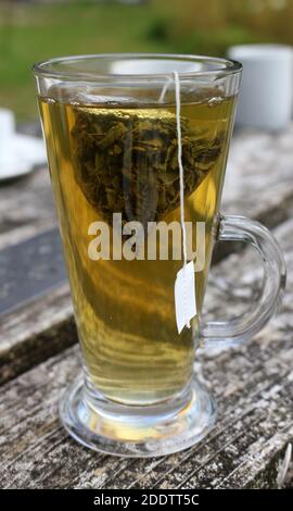 Un alto bicchiere di tè verde con un teabag in Foto Stock