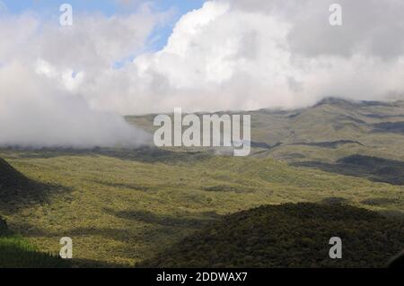 Nuvole che sfiorano la foresta pluviale sull'isola di Reunion Foto Stock