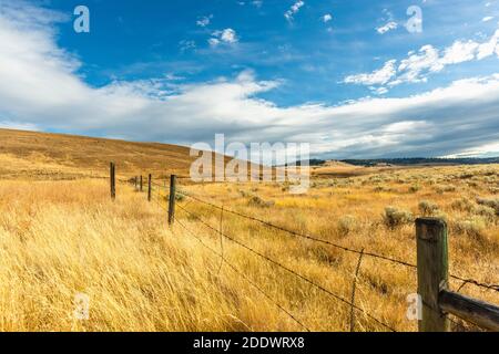 Un enorme cielo blu con bianche nuvole soffici si estendeva sul campo sulle colline con erba gialla. Pali di legno con filo spinato teso lungo la f Foto Stock