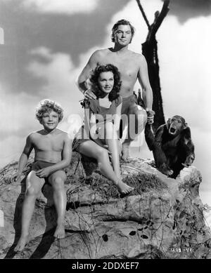 JOHNNY SHEFFIELD MAUREEN o'SULLIVAN JOHNNY WEISSMULLER e GHEPARDO posarono un ritratto pubblicitario di CLARENCE SINCLAIR BULL per IL direttore DELL'AVVENTURA DI TARZAN A NEW YORK 1942 RICHARD THORPE basato su personaggi creati da Edgar Rice Burroughs Metro Goldwyn Mayer Foto Stock