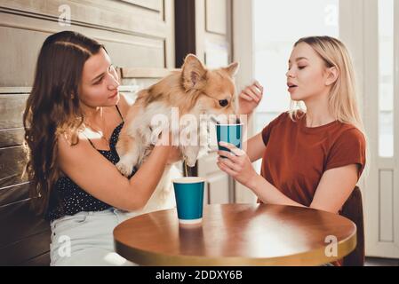 Due belle donne che bevono caffè con un cane di Corgi Foto Stock