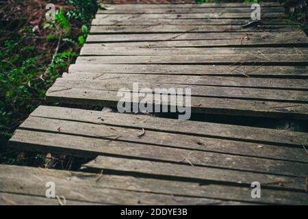 Vecchi pannelli in legno rovinato Ponte in natura primo piano Foto Stock