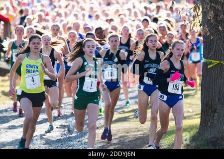 Wappingers Fall, NY, USA - 23 novembre 2019: Trecento ragazze quattrocento metri in una gara 5K competere per un campionato di stato in fondo Foto Stock