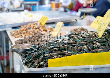 Cozze a Shelll, surgelate su ghiaccio in vendita e cuoco, nel mercato fresco. Foto Stock