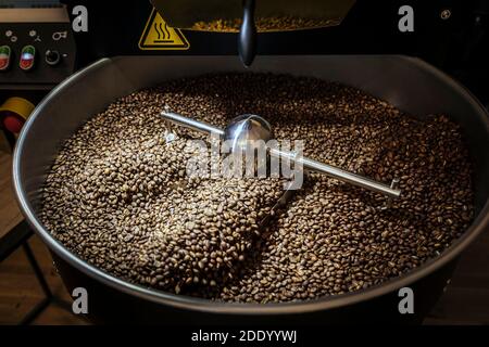 Torrefazione del caffè: Interno di un negozio di torrefazione a Nimes (Francia sud-orientale). I chicchi di caffè si raffreddano dopo la tostatura Foto Stock