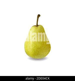 Pera verde isolata su sfondo bianco illustrazione vettoriale Illustrazione Vettoriale