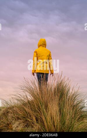 donna che indossa un cappotto giallo in piedi sulla cima di una duna, vista posteriore, libro di copertina concetto. Foto Stock