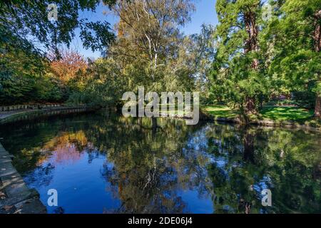 Una scena autunnale del fiume Avon mentre passa attraverso Hagley Park, Christchurch, Nuova Zelanda. Foto Stock