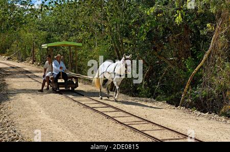 La ferrovia del cavallo esiste ancora - su Yucatan in Messico Foto Stock