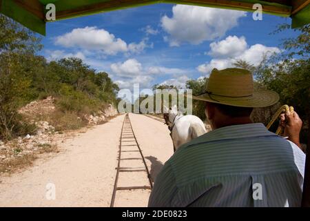 La ferrovia del cavallo esiste ancora - su Yucatan in Messico Foto Stock