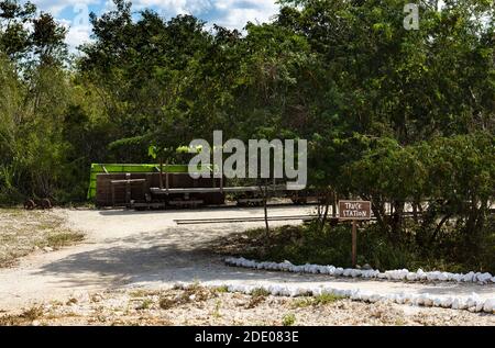 La ferrovia del cavallo esiste ancora - su Yucatan in Messico Foto Stock