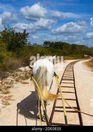 La ferrovia del cavallo esiste ancora - su Yucatan in Messico Foto Stock