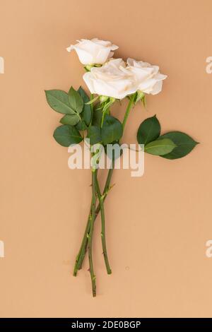 Mazzo di rose bianche su sfondo arancione Foto Stock