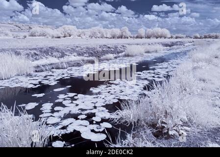 Immagini a infrarossi che si affacciano su aller Moor e Middle Moor ai livelli del Somerset con il fiume Sowey in primo piano, in una giornata estiva. Foto Stock