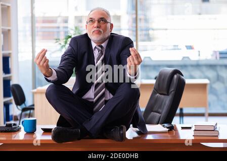 Dipendente di un uomo d'affari senior che lavora in ufficio Foto Stock