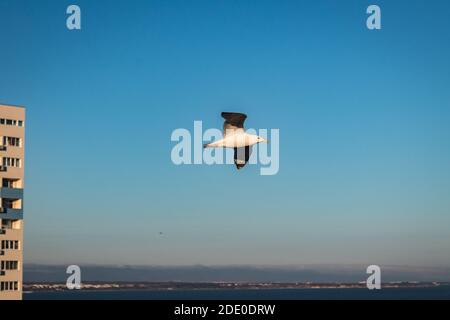 Mare e cielo in lontananza Foto Stock