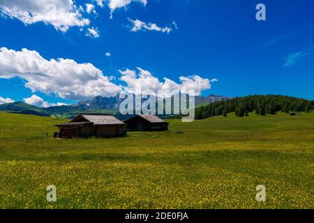 Paesaggi mozzafiato vista sulle verdi colline con cielo azzurro estivo all'alba dalle Dolomiti di Seiser Alm, Italia. Foto Stock