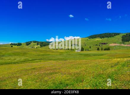 Paesaggi mozzafiato vista sulle verdi colline con cielo azzurro estivo all'alba dalle Dolomiti di Seiser Alm, Italia. Foto Stock