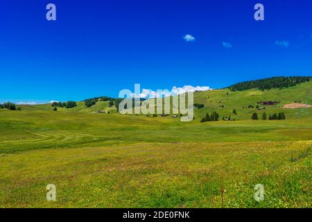 Paesaggi mozzafiato vista sulle verdi colline con cielo azzurro estivo all'alba dalle Dolomiti di Seiser Alm, Italia. Foto Stock