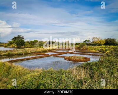 Saline nella Francia occidentale, grande produttore di 'sale Guerande' Foto Stock