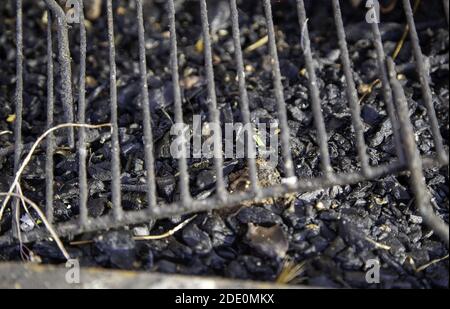 Fuoco su metallo griglia, barbecue e cucina fuori Foto Stock