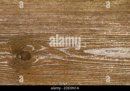 Vecchio rustico muro di legno texure con bianco peeling vernice e nodo, sfondo grunge Foto Stock