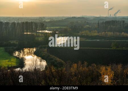 Lippe Auen, antico affluente del fiume Lippe, vicino Hamm, NRW, Germania Foto Stock