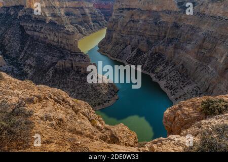 Vista del lago Bighorn dal Devil's Canyon Overlook, Bighorn Canyon National Recreation Area, vicino Lovell, Wyoming, USA Foto Stock