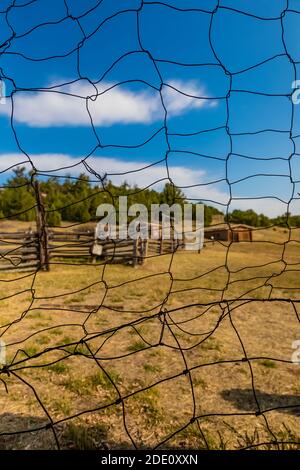 Pollo Coop e fienile al Caroline Lockhart Historic Ranch Site nella Bighorn Canyon National Recreation Area, vicino Lovell, Wyoming, Stati Uniti Foto Stock