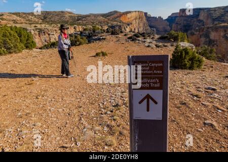 Karen Rentz sul Knob Trail di Sullivan per una vista spettacolare del Bighorn Canyon nella Bighorn Canyon National Recreation Area, vicino Lovell, Wyoming, USA Foto Stock