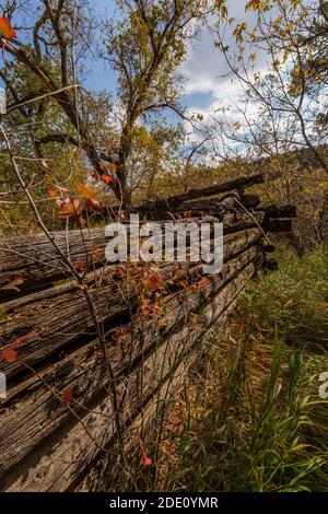Il vecchio fienile rimane presso il sito storico di Caroline Lockhart, nel Bighorn Canyon National Recreation Area, vicino Lovell, Wyoming, USA Foto Stock