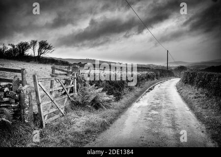 Un'altra mattinata di novembre nel Lake District. Ho preso una breve deviazione giù Lane termina fuori dalla A5092 vicino a Lowick per vedere se ho trovato qualche cosa Foto Stock