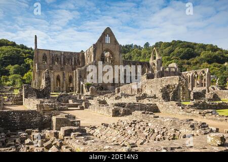 Tintern Abbey, Tintern, Wye Valley, Monmouthshire, Galles, Regno Unito, Europa Foto Stock