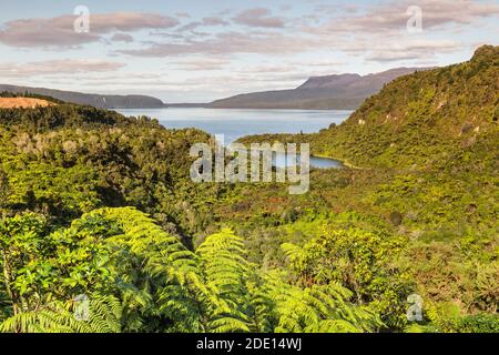 Lago Tarawera, Rotorua, Isola del Nord, Nuova Zelanda, Pacifico Foto Stock