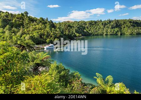 Lago Tarawera, Rotorua, Isola del Nord, Nuova Zelanda, Pacifico Foto Stock