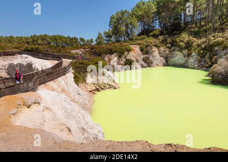 Wai-o-Tapu Thermal Wonderland, Rotorua, Bay of Plenty, Isola del Nord, Nuova Zelanda, Pacifico Foto Stock