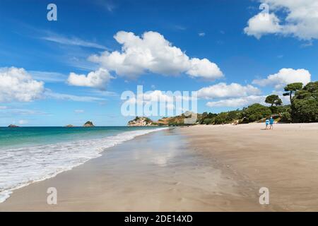 Hahei Beach, Coromandel Peninsula, Waikato, Isola del Nord, Nuova Zelanda, Pacifico Foto Stock