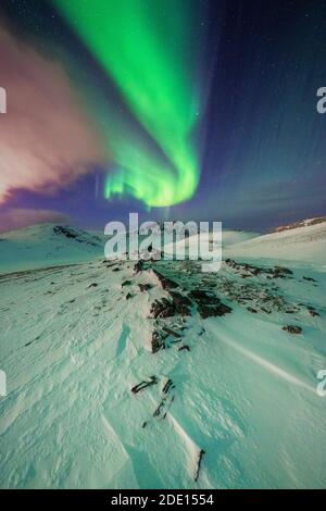 Forme surreali dell'aurora boreale nella notte artica, Skarsvag, Nordkapp, Troms og Finnmark, Norvegia, Scandinavia, Europa Foto Stock