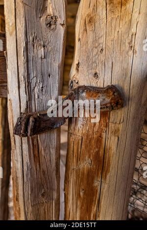 Cerniera in pelle alla polpetta di pollo e fienile al Caroline Lockhart Historic Ranch Site nella Bighorn Canyon National Recreation Area, vicino Lovell, Wyoming, USA Foto Stock