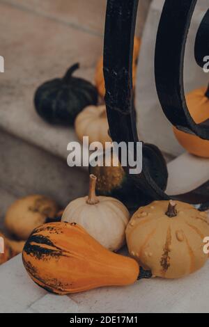 Varietà di diversi tipi di zucche e squash sulla soglia di una casa, Halloween decorazione. Foto Stock