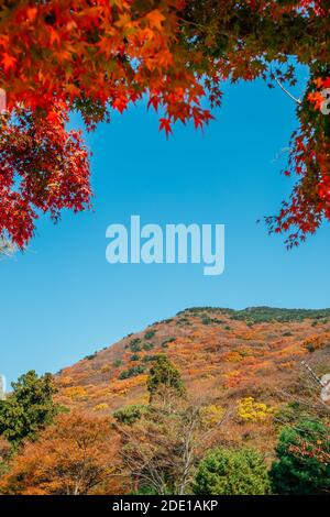 Montagna d'autunno con acero rosso al tempio Beomeosa a Busan, Corea Foto Stock