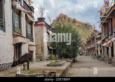 Vecchia casa tibetana con fortezza di Gyantse in lontananza, Gyantse County, Tibet, Cina Foto Stock