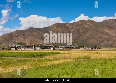 Villaggio e campo di orzo in Himalaya, Prefettura di Shigatse, Tibet, Cina Foto Stock