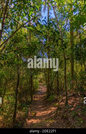 Parque Provinciale Teyú-Cuare al fiume Paraná, San Ignacio, Provincia Misiones, Argentina, America Latina, Foto Stock