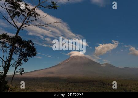 Semeru è la montagna più alta dell'isola di Giava, a 3676 metri sul livello del mare. Foto Stock