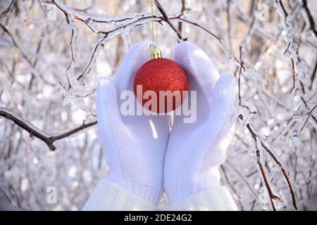 Mani in guanti bianchi che tengono rosso giocattolo di Natale accanto a rami congelati di alberi coperti di ghiaccio. Russia, foresta invernale Foto Stock