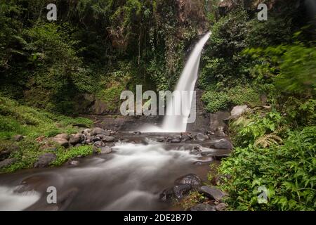 Cascata di Tirto Kemanten nel villaggio di Wonorejo, distretto di Banyuwangi. Foto Stock