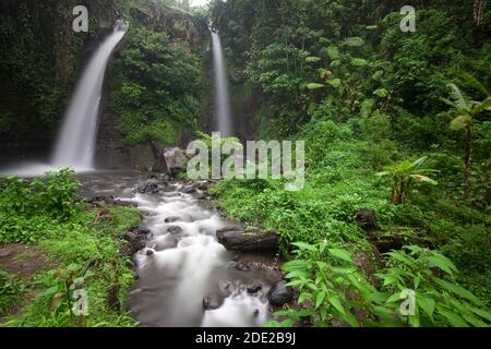 Cascata di Tirto Kemanten nel villaggio di Wonorejo, distretto di Banyuwangi. Foto Stock